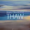 DP-6 & Alexey Orlov - Thaw - Single